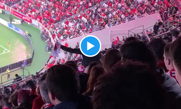 Vídeo de adepto do Benfica a ser ridicularizado pelos próprios benfiquistas está a envergonhar o clube