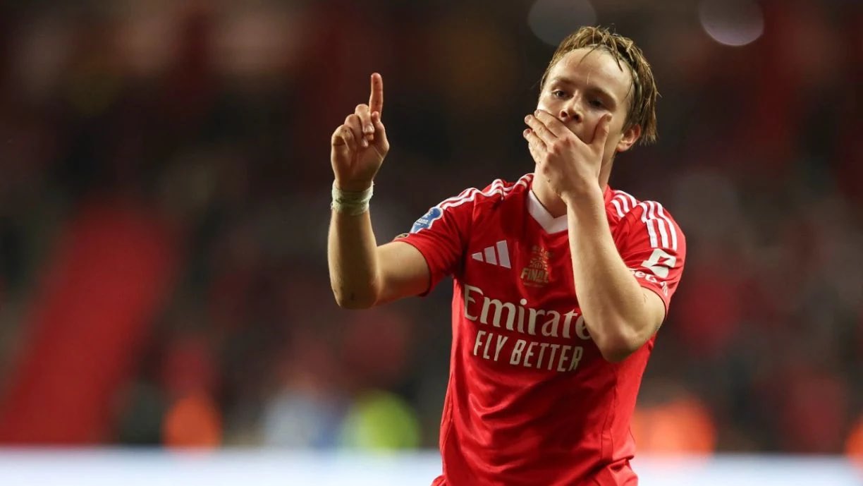 CAOS NO BENFICA! Schjelderup COMPLETAMENTE ARRASADO!